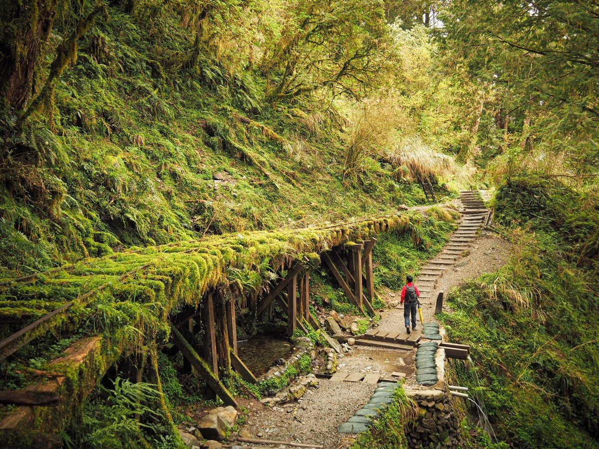 젠칭 화이구 산책로의 이끼 낀 철길